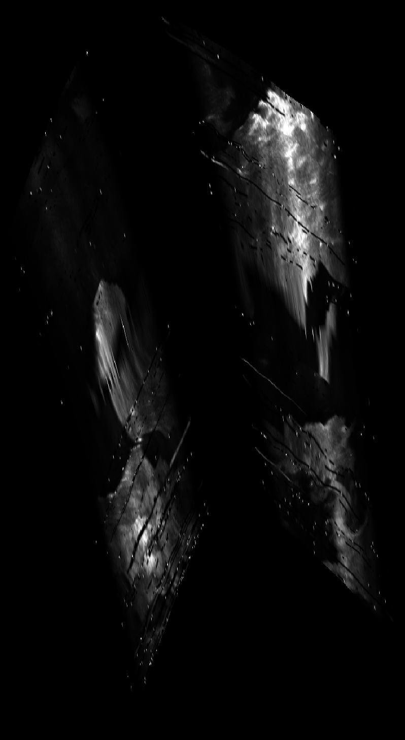 ascat_grayscale_proj_backward.png